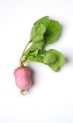 Fresh Purple Radish on white background