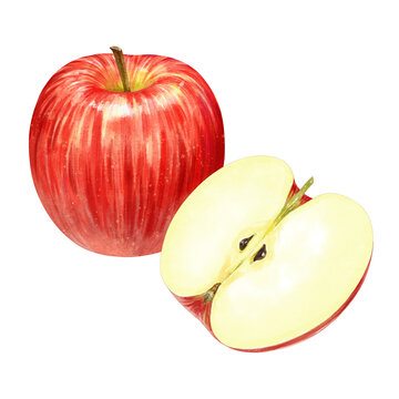 美しいりんご の画像 386 件の Stock 写真 ベクターおよびビデオ Adobe Stock