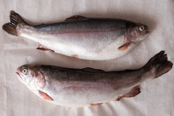 Two fresh fish lie on white parchment paper.