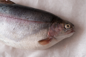 Fresh fish head close up on white background