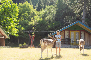 adorable toddler feeds deer on farm. Beautiful baby child petting animals in the zoo. Excited and happy girl on family weekend