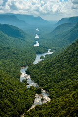 Jungles of Yaki Mountain and Potaro River Region Kaieteur National Park Guyana