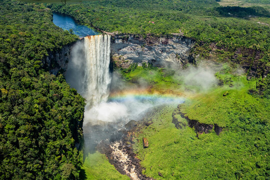 Jungle Region of Kaieteur Falls Kaieteur National Park Guyana