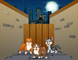 Cartoon three dogs in a small street alley at night