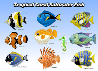 Set of Coral Saltwater Fish © bazzier