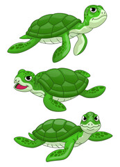 Set of Cute Cartoon Turtle