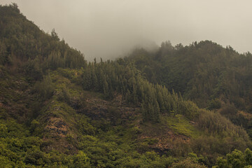 Panoramic landscape view from Iao Valley, Maui, Hawai.