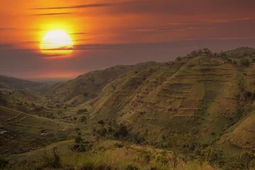Rolgordijnen Cappuccino Beautiful landscape in southwestern Uganda, at the Bwindi Impenetrable Forest National Park, at the borders of Uganda, Congo and Rwanda. The Bwindi National Park is the home of the mountain gorillas