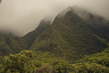 Panoramic landscape view from Iao Valley, Maui, Hawai.