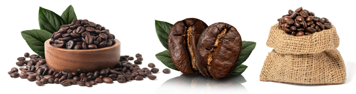 coffee beans and  leaves fresh isolated on white background