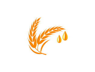 organic rice bran oil vector illustration