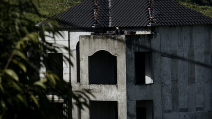 Abandoned House in The Jungle
