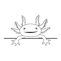 Vector illustration of axolotl salamander isolated on white background. Peeking cute axolotl smile. Drawing in outline style.
