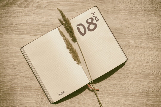 june 8. 8th day of month, calendar date.Blank pages of notebook are beige, with dried spikelets. Concept of day of year, time planner, summer month