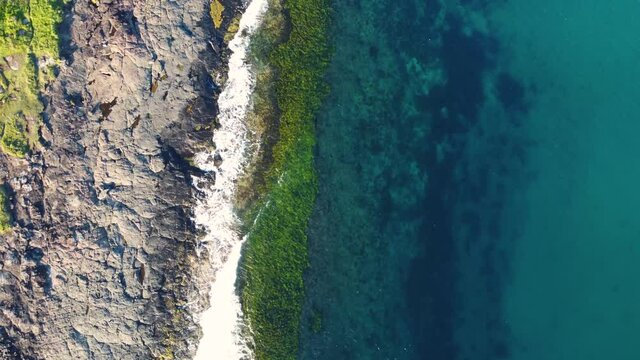 Bird's-eye drone aerial shot of Bawley Point Crystal clear ocean water reef sand and seaweed South Coast Ulladulla NSW Australia 4K
