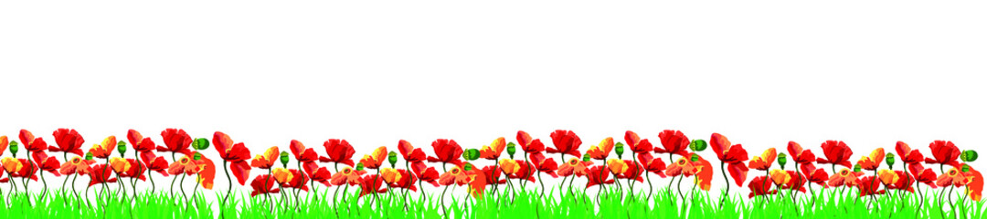 Green poppy field with copy-space
