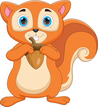 cartoon cute squirrel holding nut