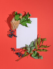 Sheet white paper, green leaves, berries and stone on bright red background. Flat lay concept and copy space for text.