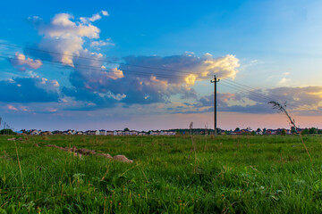 A field with grass in summer morning.