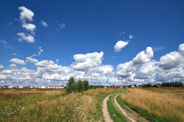 A field with grass in summer sunny day.