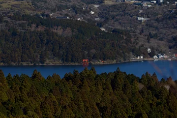 Gordijnen 芦ノ湖に浮かぶ九頭竜神社の鳥居 © YATA!