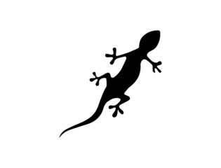 lizard icon vector 