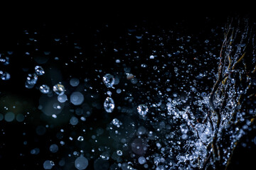 Selective focus splashing water droplets with trees in black background.soft focus.shallow focus effect.