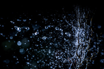 Selective focus splashing water droplets with trees in black background.soft focus.shallow focus effect.