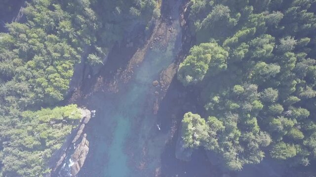 Vertical aerial view of foggy, shallow rainforest ocean inlet in mist