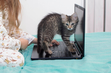 cute girl at home on the bed doing homework at the computer next to her beloved kitten. A cute little kitty is looking at a laptop while its owner is playing with it. Selective focus.