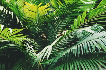 Obraz na płótnie Canvas Palm leaves full frame natural background