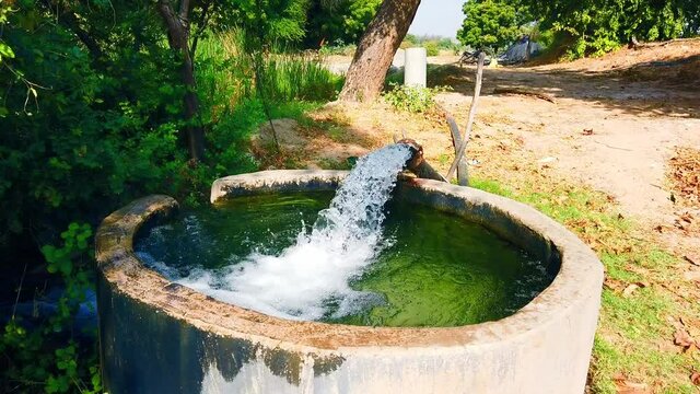 watering fields agriculture motor ground pure,Water from a well filled a pond for irrigation,farming concept