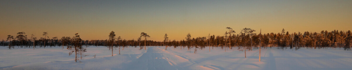 Winter landscape in Lapland. Sunrise and sunset afternoon at snow covered swamp.