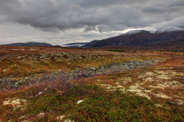 autumn landscape with mountains and sky