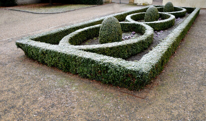 cut squares of flowerbed edging in a historic garden made of boxwood hedges. courtyard of the...