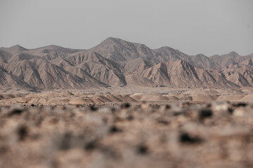 landscape in park