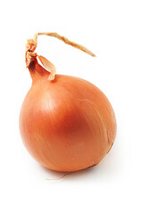 golden onion isolated on a white background