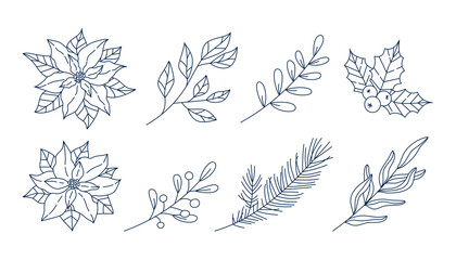 Botanical floral Christmas set, Xmas elements, winter flowers, leaves, branches and poinsettia isolated on white