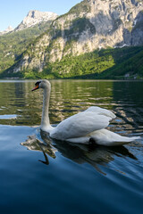 Hallstatt Juni 2021