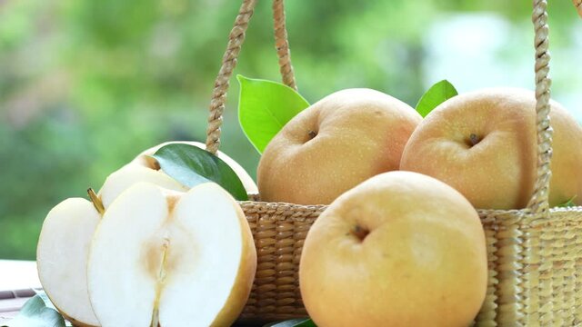 Snow pear fruit in wooden basket, Fresh Nashi pear or Korean pear fruit in the basket over green natural Blur background.