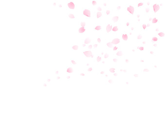 桜吹雪背景　桜のフレーム