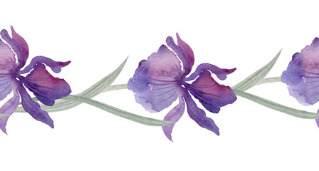 Fototapeta na wymiar Seamless horizontal pattern. Watercolor background. Irises.