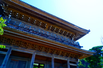 Fototapeta na wymiar 鎌倉市材木座の浄土宗大本山、光明寺の山門