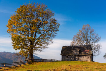 Picturesque landscape. View of a dilapidated wooden authentic house. Near the house is a man in a green jacket. Blue sky with white clouds. Autumn bright day. Country house. Carpathians.