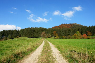 Fototapeta na wymiar Herbstlandschaft