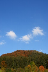 Herbstlandschaft