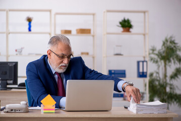 Old male employee working in the office