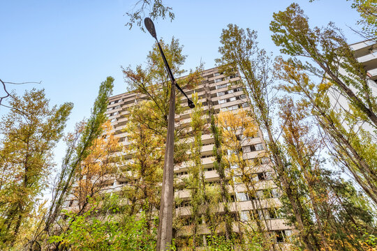 Ukraine, Kyiv Oblast, Chernobyl, Flora overtaking abandoned city