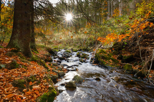Radau river flowing through Harz National Park in autumn