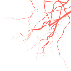 3d realistic icon. Blood system. Vein, vessels and cappilars.